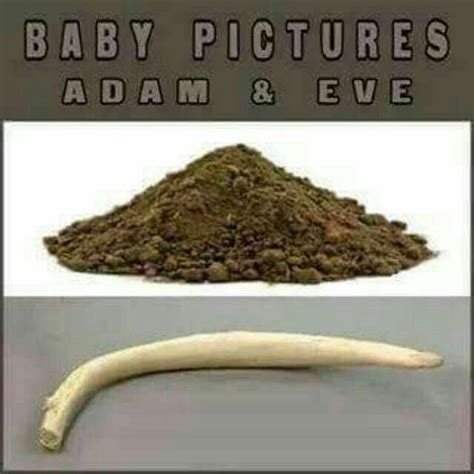 Baby Pictures Of Adam And Eve Funny Baby Pictures Super Funny