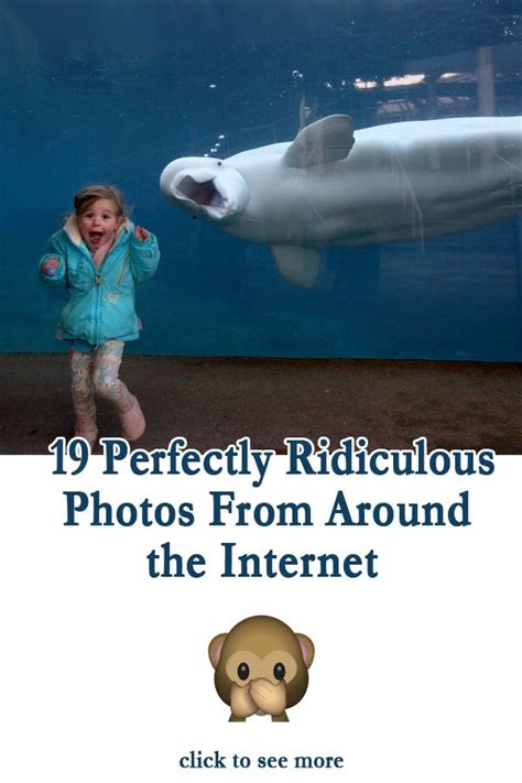 19 Perfectly Ridiculous Photos From Around The Internet Ridiculous
