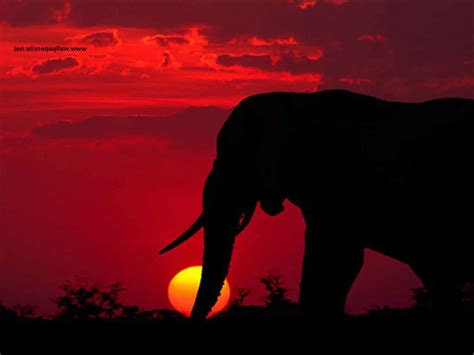 Maybe you would like to learn more about one of these? Imagen Zone > Fondos de pantalla > Atardeceres