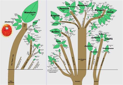 The Root Of All Human Languages