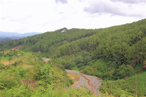 Panorama Puncak Ampangan Lukisan Alam Nan Indah Di Kaki Gunung Sago