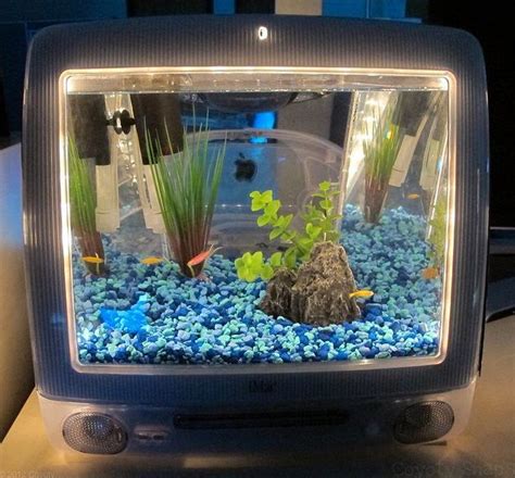 Imacquarium Des Apple Imac G3 Transformés En Aquarium