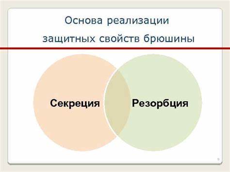 Спаечная болезнь брюшной полости диета Послеоперационный спаечный процесс брюшной полости и спаечная болезнь Послеоперационный спаечный процесс брюшной полости и спаечная болезнь Спаечная болезнь брюшной полости диета