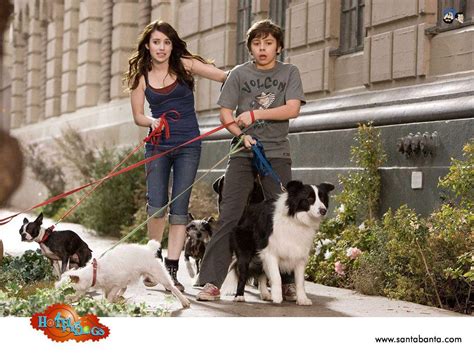 Hotel For Dogs Movie Wallpapers Wallpaper Cave