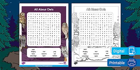 All About Owls Word Search Teacher Made Twinkl