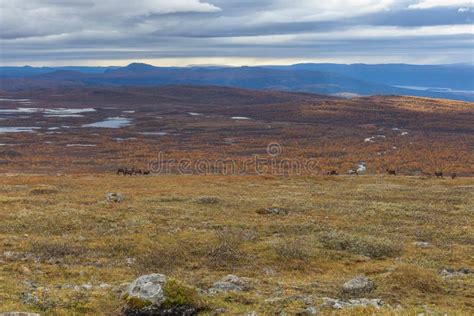 Sarek National Park In Lapland From The Sky Selective Focus Stock
