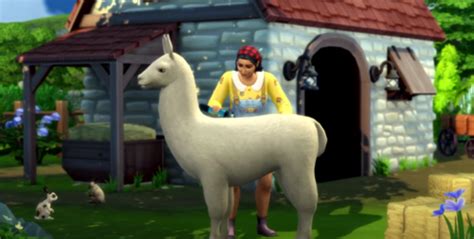 Llama The Sims Wiki