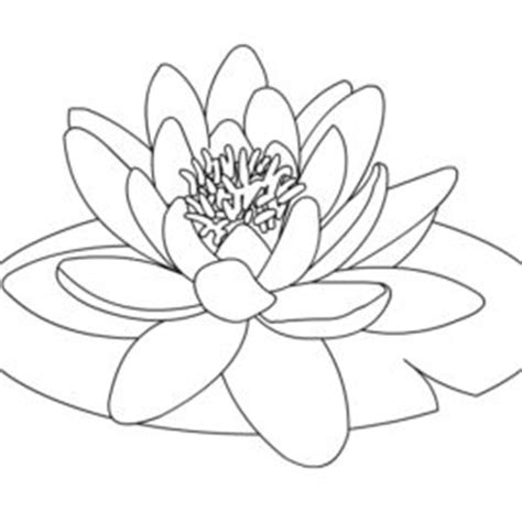 Are you searching for water lily png images or vector? Waterlily Drawing at GetDrawings | Free download