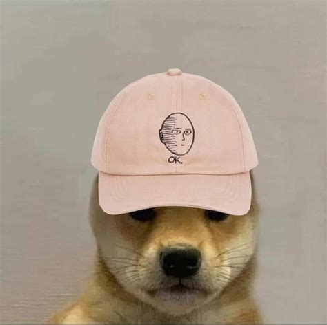 Wow. this is similar to the text seen in doge memes. Pin by Stilly on Art | Dog hat, Dog memes, Cute animals