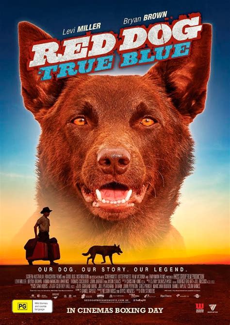 Рыжий пес (2011) soundtracks on imdb: Red Dog: True Blue Future Release, DVD | Sanity