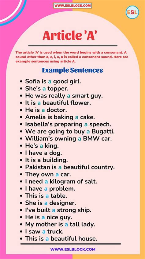 100 Example Sentences Using Articles A An The Learn English Words