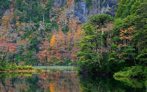 Nature Landscape Forest Fall Lake Reflection Mountain National