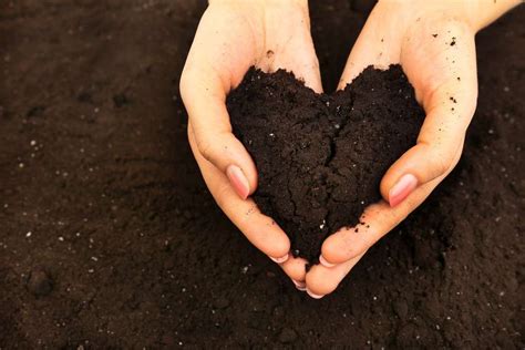 Prepping Your Clients Yard By Showing The Soil Some Love