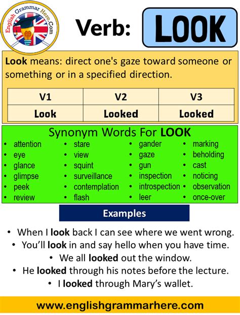 Look Past Simple Simple Past Tense Of Look Past Participle V1 V2 V3