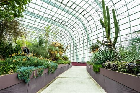Free Photo Flower Dome Garden And Greenhouse Forest For Travel