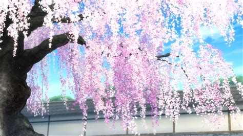 Anime cherry blossoms wallpaper hd images by walls auto. 41+ Anime Cherry Blossom Wallpaper on WallpaperSafari