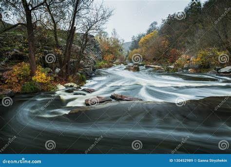 The River Is Fast With Stony Shores And Autumnal Yellow Trees Autumn