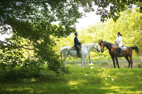 Check spelling or type a new query. Forest horse riding | OFFICIAL Hoshino Resorts RISONARE ...