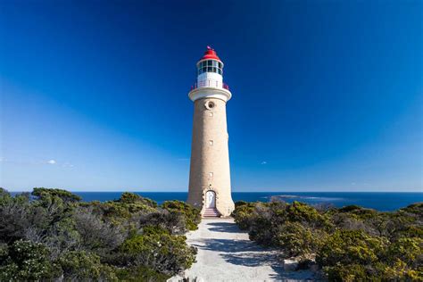 11 Best Things To Do In Kangaroo Island That Will Wow You