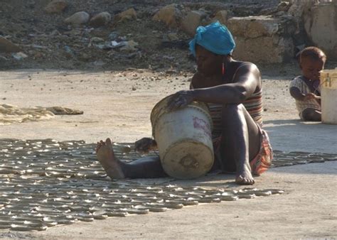 Somália Diz Que Seca Matou 110 De Fome Nas últimas 48 Horas No País Mundo Diario De Pernambuco