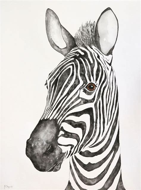 Zebra Portrait 2017 Watercolour By M Stepniak Zebra Art Zebra