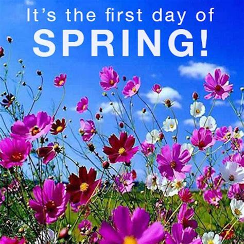 Its The First Day Of Spring Pictures Photos And Images For Facebook