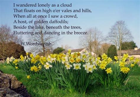 W Wordsworth Daffodils Short Poems Poems