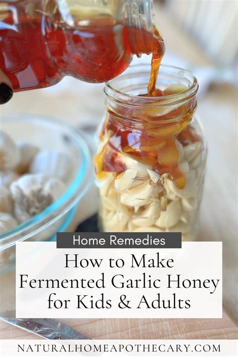 easy fermented garlic honey recipe uses and benefits remedies