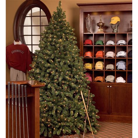 Christmas tree shops does not have a loyalty program. Sequoia Commercial Christmas Tree
