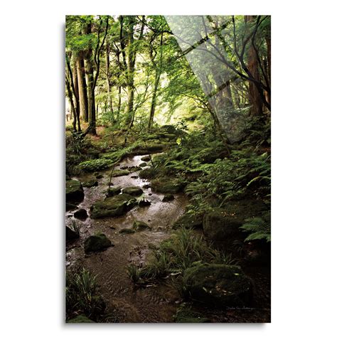Soulfine Lush Creek In Forest By Unframed Graphic Art On Glass Wayfair