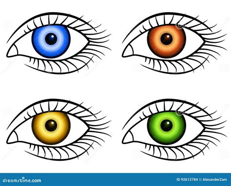 Human Eye Icons Stock Vector Illustration Of Green Collection 92612784