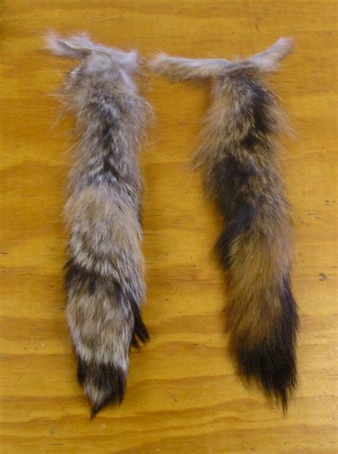 2 Grey Fox Tails By Jwunlimited On Etsy