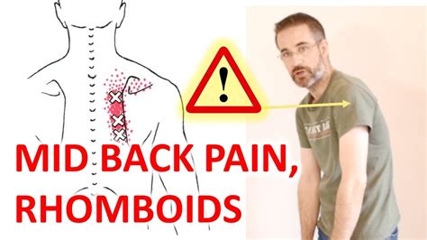 Mid Back Pain Shoulder Blade Pain Exercise And Posture Correction Tips For The Rhomboid