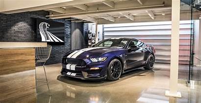 Mustang Shelby Gt350 Ford Speed