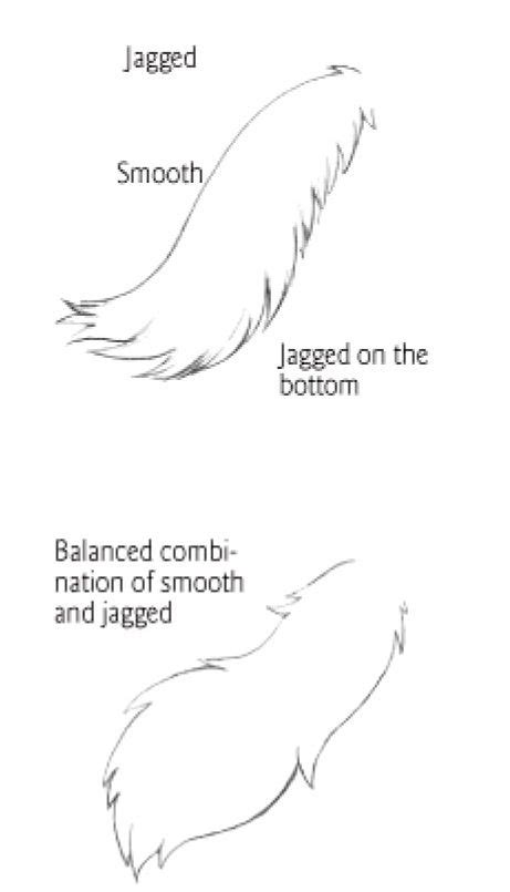 Tail Types 2 Cat Drawing Tutorial Drawing Tips Cat Drawing