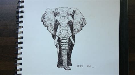 Elephant Using Stippling By Kfcdealer182 On Deviantart