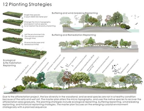 (2008) design strategies in architecture level. ASLA 2011 Professional Awards | An Emerging Natural ...