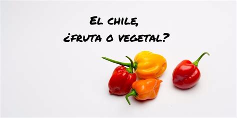 El Chile ¿fruta ó Vegetal Mapachtli Productos Artesanales