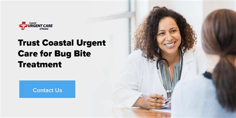 Common Summer Bug Bites Coastal Urgent Care