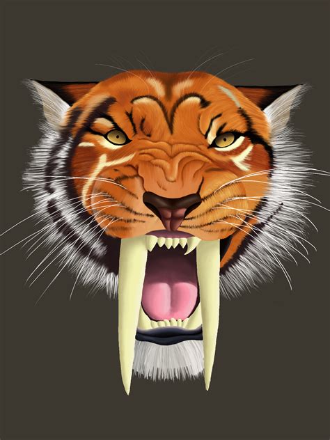 Saber Tooth Tiger By Glavery On Newgrounds