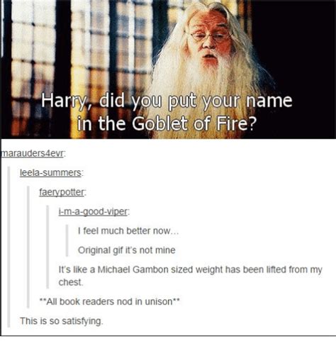 Harry Did You Put Your Name In The Goblet Of Fire