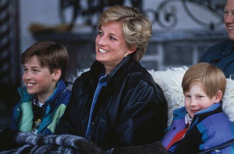 Prince William Harry Come Together To Honour Princess Diana