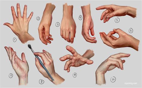 Hand Study Hand Reference Hand Drawing Reference How To Draw Hands