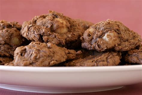 Chewy Chocolate Macadamia Nut Clusters Bake Or Break