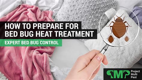 How To Prepare For Bed Bug Heat Treatment Bed Bug Pest Control