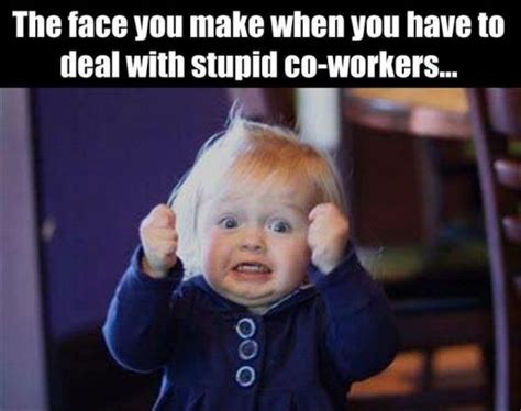 work quote the face you make when you have to deal with stupid coworkers