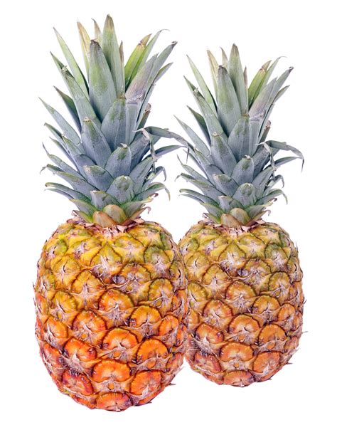 Pineapple Fruit Transparent Png Images Free Download Free Transparent