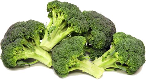 Broccoli Png Transparent Images Png All