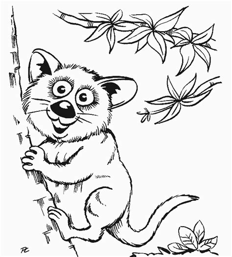 74 Best Wild Animal Coloring Pages For Kids Updated 2018