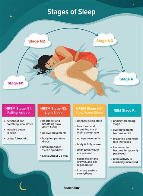 The Stages Of Sleep Info Sheet